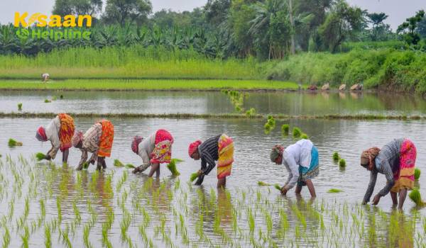 महामारी के बावजूद मार्च-जून 2020 में भारत का कृषि निर्यात 23.24% बढ़ा